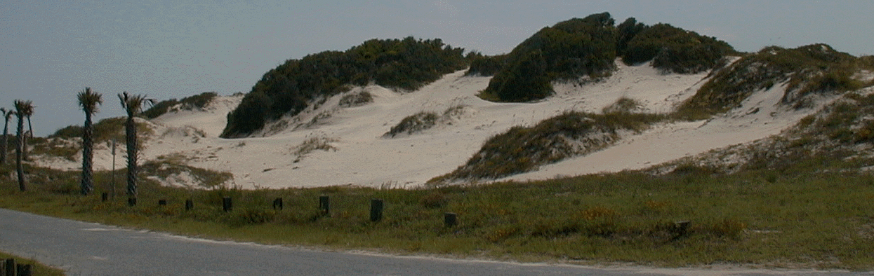 back dune areas